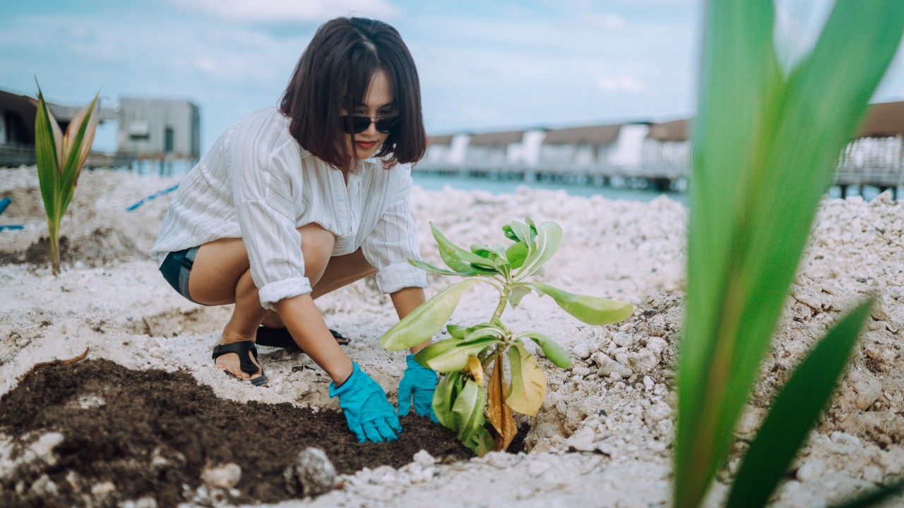 The Westin Maldives Miriandhoo Resort marks Earth Day with sustainability programme