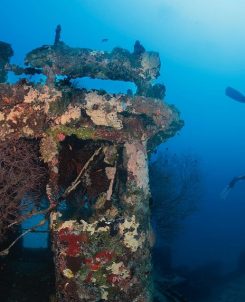 469220855 18312782902167059 4202721498272580868 n