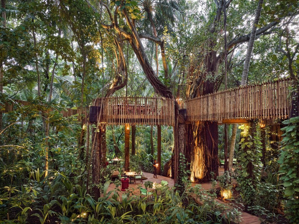 665221 Niyama Private Islands Nest Restaurant waiter fca64f original