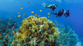 BELOW SURFACE TOBIAS FRIEDRICH 20250614 BELOW SURFACE TOBIAS FRIEDRICH 20250614 69A0541