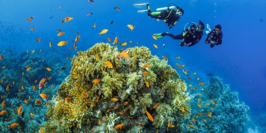 BELOW SURFACE TOBIAS FRIEDRICH 20250614 BELOW SURFACE TOBIAS FRIEDRICH 20250614 69A0541