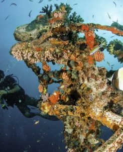 Centara Grand Island Resort & Spa Maldives Diving