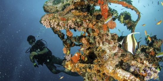 Centara Grand Island Resort & Spa Maldives Diving