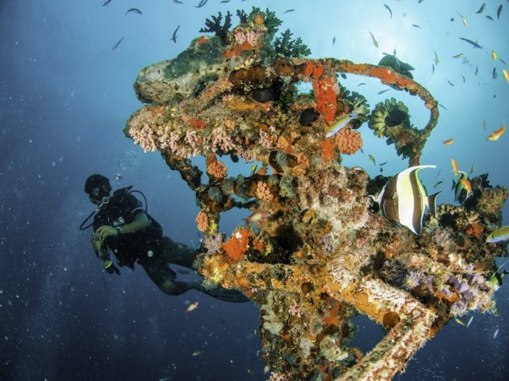 Centara Grand Island Resort & Spa Maldives Diving