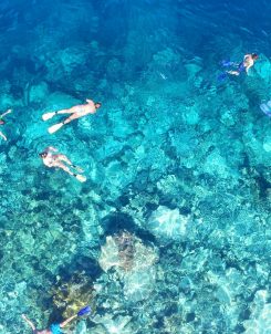 DCIM100MEDIADJI 0123.JPG