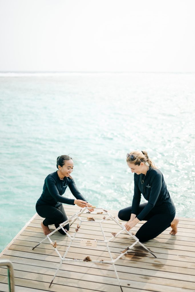 Naturalist at The Ritz Carlton Maldives, Fari Islands