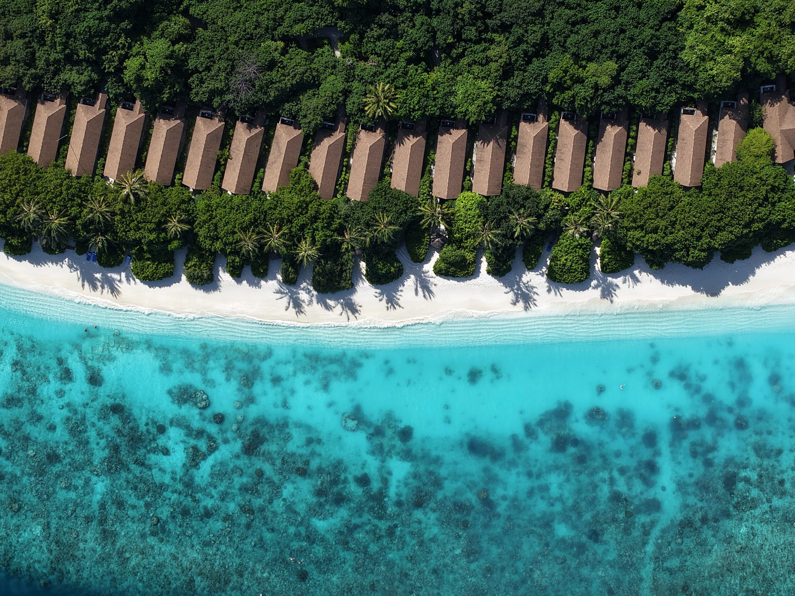 Reethi Faru Resort wins four titles at 2026 Haute Grandeur Awards