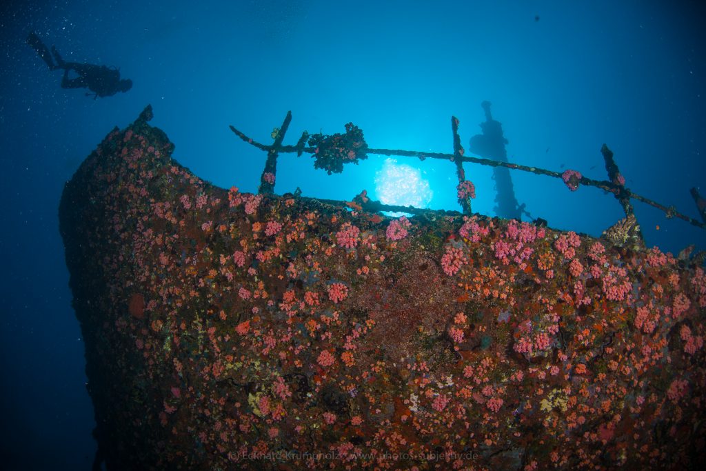 A(c) ECKHARD KRUMPHOLZ