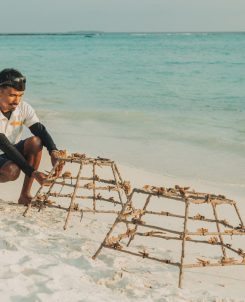 Batch SSIF Coral Planting Marine Biologist
