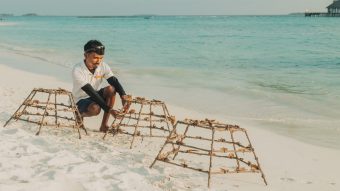 Batch SSIF Coral Planting Marine Biologist
