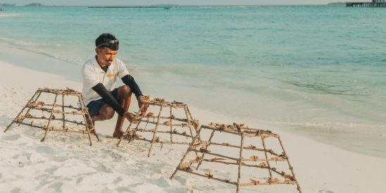 Batch SSIF Coral Planting Marine Biologist