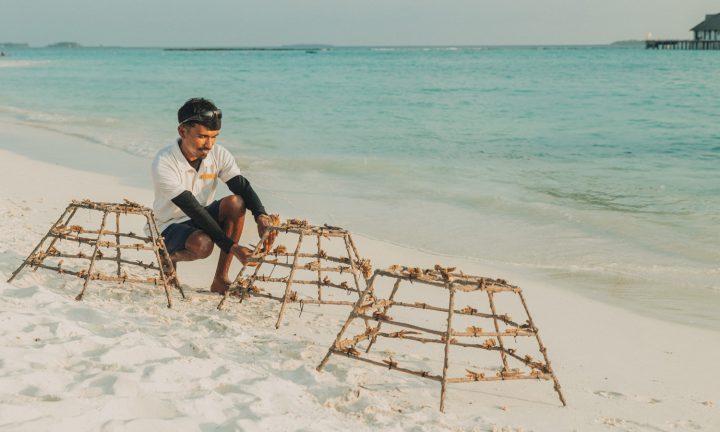 Batch SSIF Coral Planting Marine Biologist