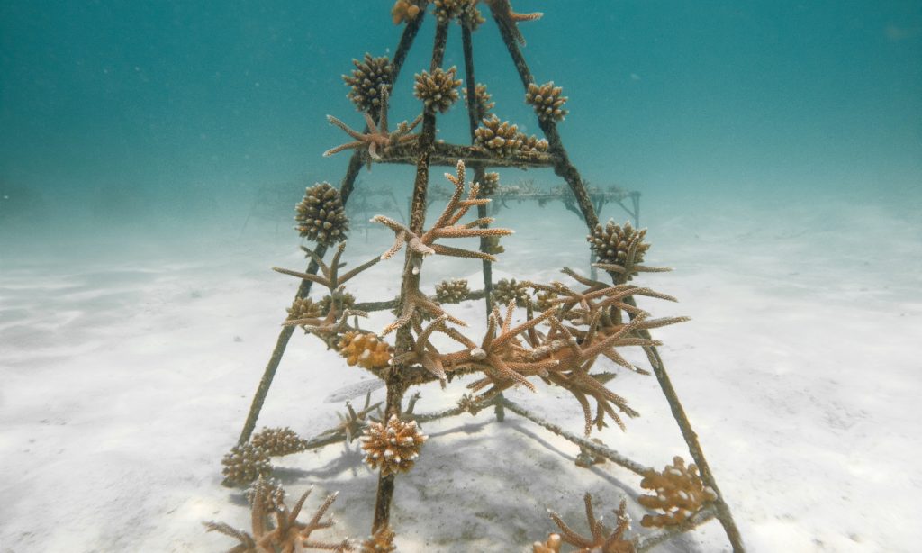 C:DCIM101GOPROGOPR2732.GPR