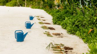 Batch SSIV Eath Day 2026