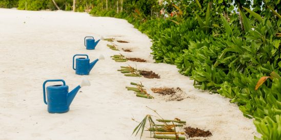 Batch SSIV Eath Day 2026