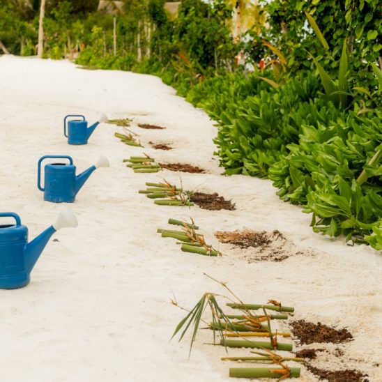 Batch SSIV Eath Day 2026