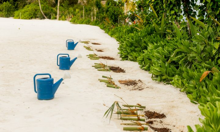 Batch SSIV Eath Day 2026