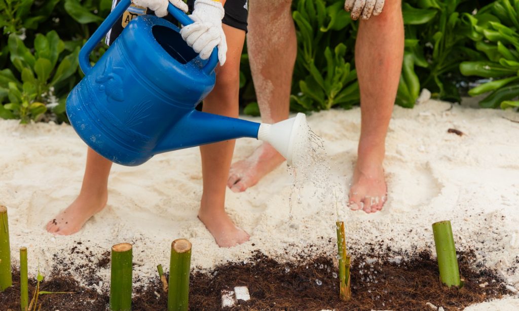 Batch SSIV Eath Day 2026