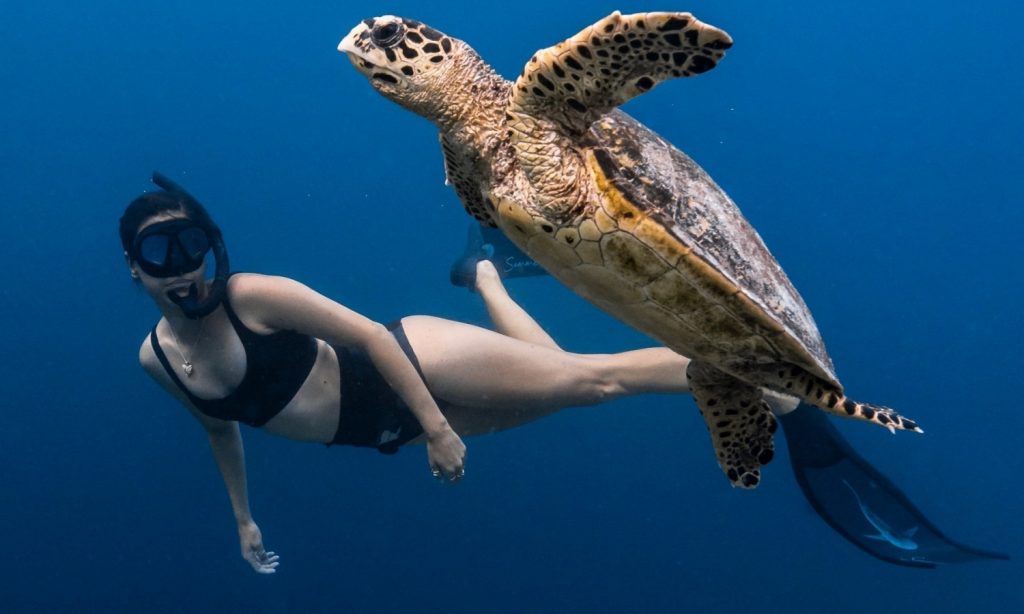 Batch The Ritz Carlton Maldives, Fari Islands Snorkeling