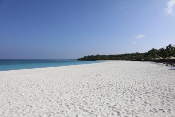 21.0E7A0619