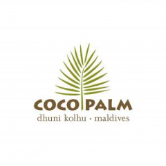 Coco Palm