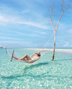 Hammock