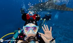 Kandooma Whale Shark Diver