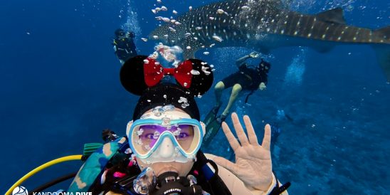Kandooma Whale Shark Diver