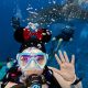 Kandooma Whale Shark Diver