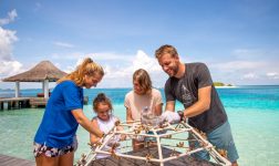 Sheraton Maldives Full Moon Resort & Spa Family Coral Planting