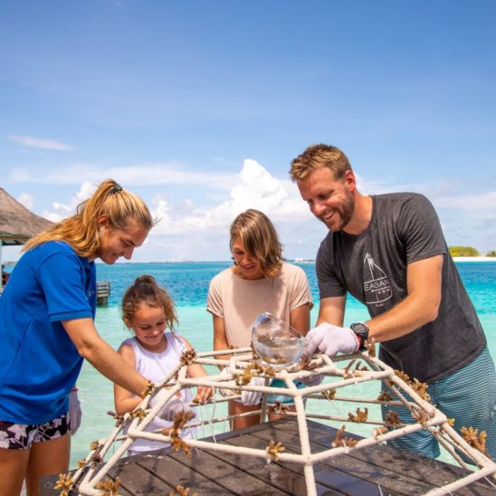 Sheraton Maldives Full Moon Resort & Spa Family Coral Planting
