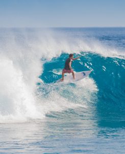 Batch 1 Surf at Chickens