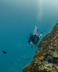 Batch Dhwa Ihuru s House Reef (5)