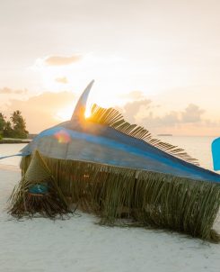 Batch SSIV Eid Al Adha Bodu Mas