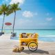 682216 Avani+ Fares Maldives Resort Avani Book Club Cart Skipjack Pool Bar June 2026 2 4ee606 original