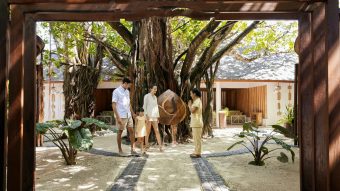 Banyan tree
