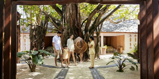 Banyan tree