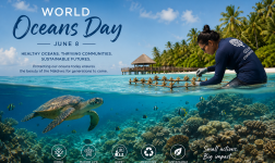 World Oceans Day