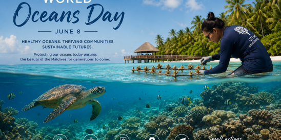 World Oceans Day