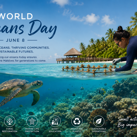 World Oceans Day