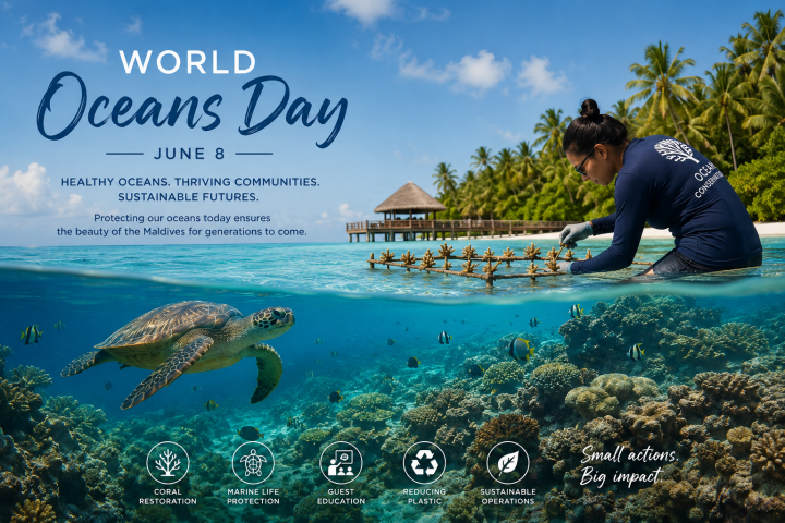 World Oceans Day