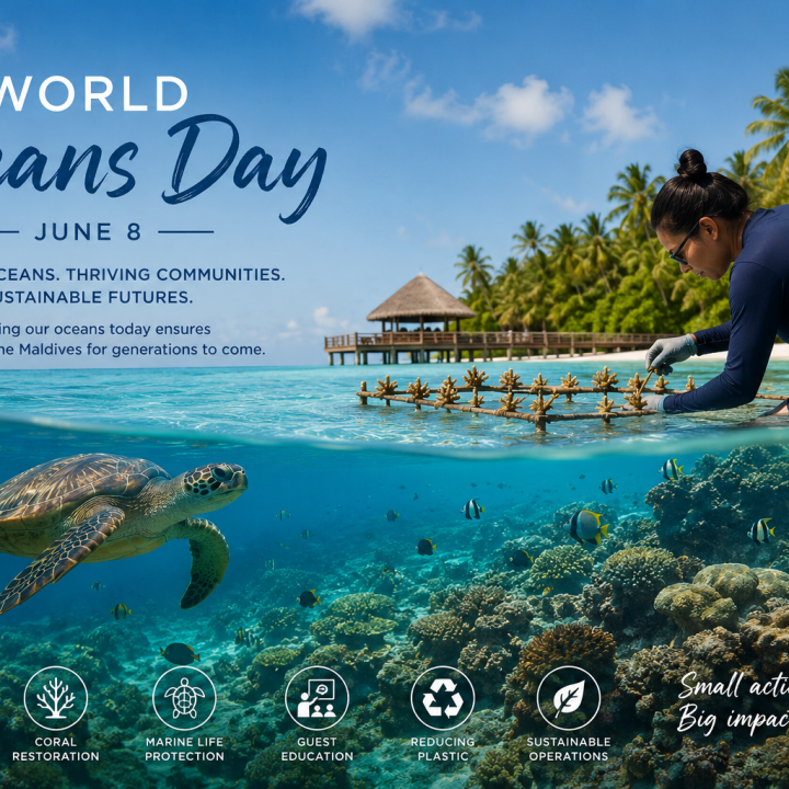 World Oceans Day