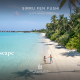 Last minute summer special offer 1200x628