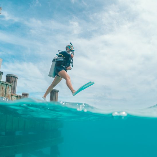 Six Senses Laamu Diving