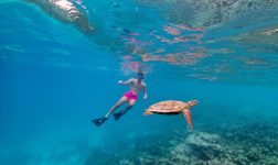 Snorkeling(6) Large