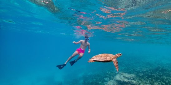 Snorkeling(6) Large