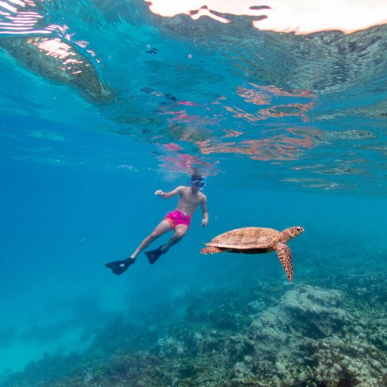 Snorkeling(6) Large