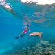 Snorkeling(6) Large