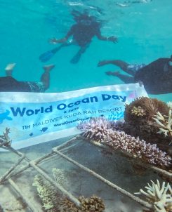 Batch 003 World Ocean Day NH Maldives Kuda Rah