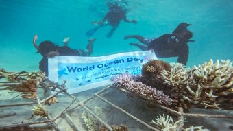 Batch 003 World Ocean Day NH Maldives Kuda Rah